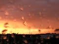 Curtains-of-Color
