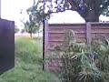 pink house 5