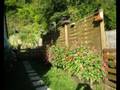videos de maisons,jardins et fleurs