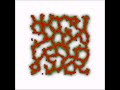 Cell based simulation of blood-vessel growth - Movie S2