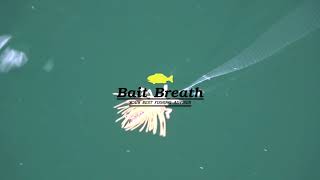 Видео: Силиконова примамка Bait Breath - No Look Bug