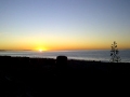 Santa Barbara Sunrise Goleta Beach January 2012 Birds Waves Seagull