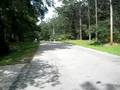 videos de street view