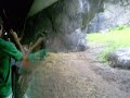 Female Gorilla Running