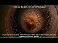 2010-02-13 | pelicula 2012 spiritual path holistic therapy shift of consciousness ~> Rhonda Byrne Dr. Masaru Emoto lee brower morris e. goodman edgar cayce 2012 Jose Arguelles Daniel Pinchbeck colon cleanse natural cures how ... (<span>10)