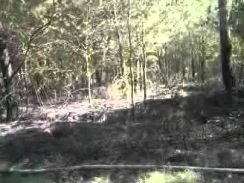 See video