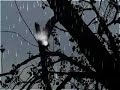 HET SPOOK VAN DE DUINEN ABDIJ HET SPOOK VAN DE DUINEN ABDIJ