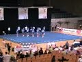 Haninge Cheer Elite Seniors ECC 2007