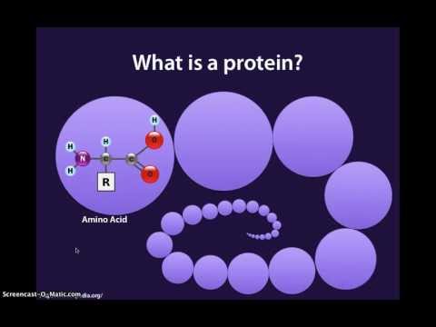 how to measure protein