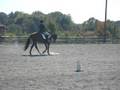 videos de Purple Storm Intro Dressage Test B