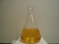 The Briggs-Rauscher Oscillating Reaction The Briggs-Rauscher Oscillating Reaction