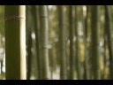 PETER BRÖTZMANN & SHOJI HANO FUNNY RAT/S 3 NEW RELEASE