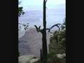 videos de The Grand Canyon