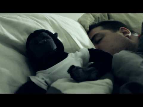 Bed Monkey - Chipotle