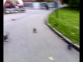 Охота на зверя :)