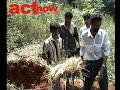 Incubating process by actnow TV