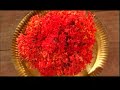 Madhu Balakrishnan - Unniganapathy - hindu devotional song