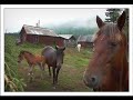 Ludmila Zykina - ??????? ?????? -\"??????? ???????\"