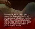 The Hussies Series