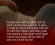 The Hussies Series