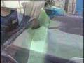 Sterling Technologies Rotational Molding Promo
