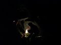 Toronto Hydro Fixes Blackout