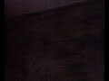 el gato perro