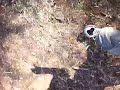 video4.mov Video