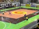 Brasil 7 Paraguai 0