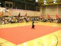Hung Gar - Mui Fa Kuen (洪家- 梅花拳)