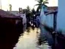 flood bihar flood bihar