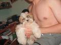 Mi perro Scrapy