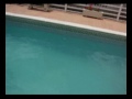 Señuelo Andrés Herrador evolucion 3.0 sinking