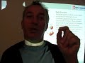 Ocean Productivity - Light and Dark Reactions