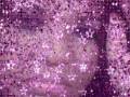 Hey Diva's!