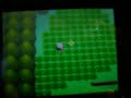 Weired shiny glitch part 1/2