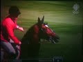 Show Jumping video mix - Grand Prix (Spruce Meadows Stakes)