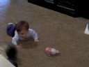Tink playing with Braxton Tink playing with Braxton
