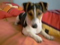 Bubka krout� hlavi?kou :)