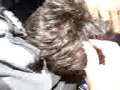 Cefet - Meca 1 - Lex sendo rabisacado !