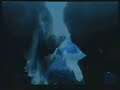 Monster Hunter 3 trailer Monster Hunter 3 trailer