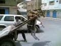 حمار مضحك