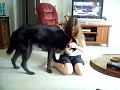 a girl and her dog mujeres que juegan con los perros (dog training)