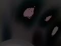 ANIMAL COLLECTIVE - FICKLE CYCLE