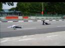 Eniqs - by Irwanshah .. Dee1One, 1OneRock, YCSS Eniqs - by Irwanshah .. Dee1One, 1OneRock, YCSS