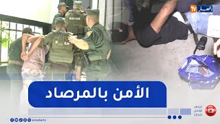 حجز المخدرات وتوقيف عصابات الأحياء..   عمليات مشتركة للدرك والشرطة في موسم الإصطياف