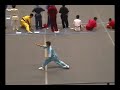 choy-li-fut-siu-sup-ji.html