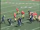 bellevue junior wolverines gold cubs 2006 highlights