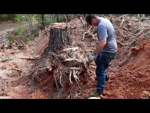 Tree Stump Removal With A Backhoe MAN TIME!