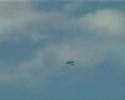 Speedgliding Speedgliding